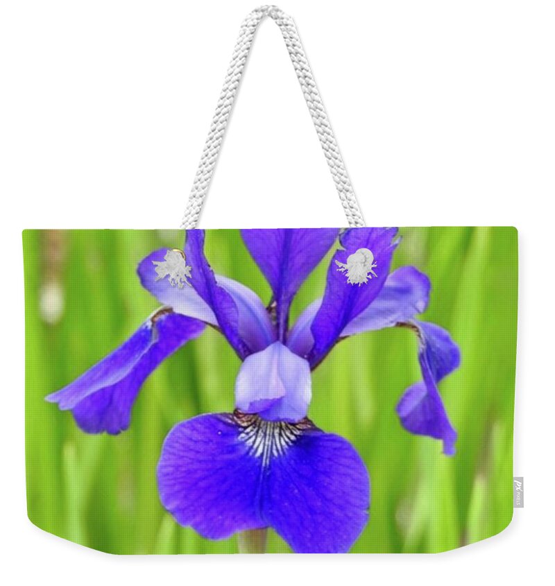 Iris Weekender Tote Bag featuring the photograph Iris by Kathy Chism