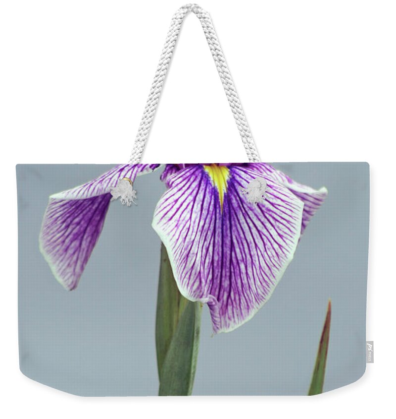 Iris; Flower; Blossom; Flowers; Petals; Close-up; Macro; Purple; Green; Violet; Vertical Weekender Tote Bag featuring the photograph Iris on Blue by Tina Uihlein