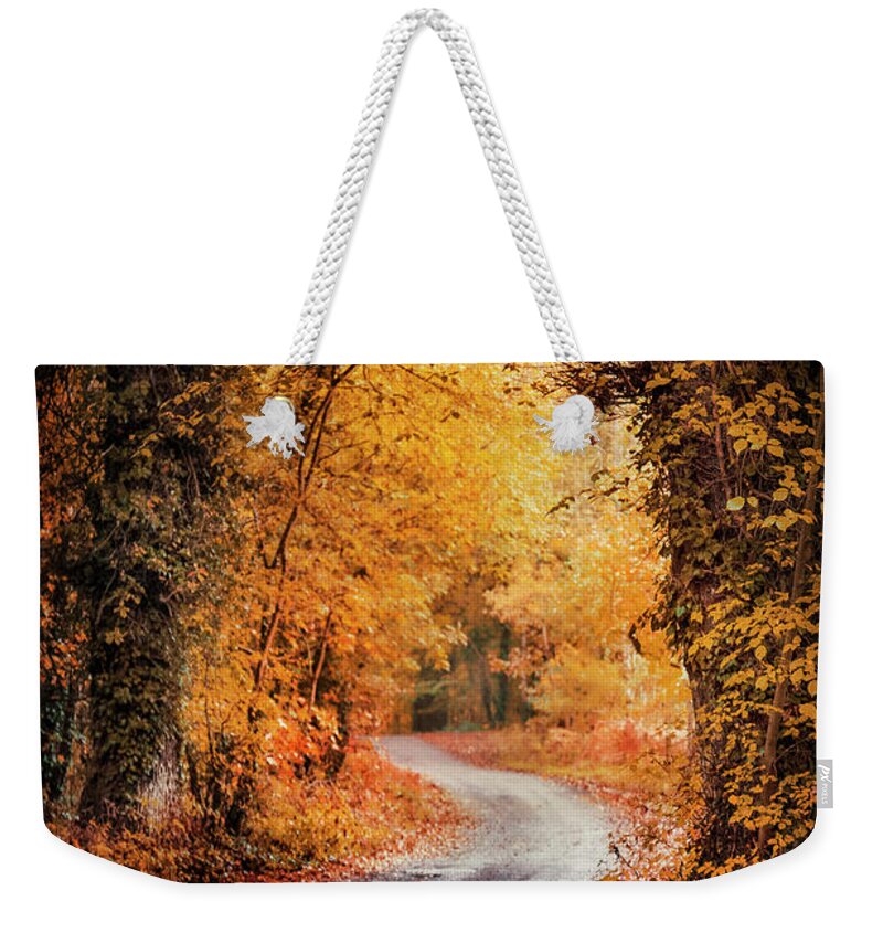 Kremsdorf Weekender Tote Bag featuring the photograph Irish Gold by Evelina Kremsdorf