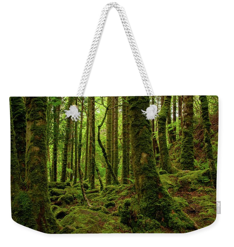 Ireland Weekender Tote Bag featuring the photograph Irish Green by Cheryl Prather