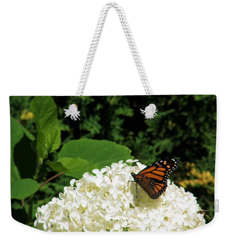  Monarch Weekender Tote Bag featuring the photograph Island Butterfly by Victor Thomason