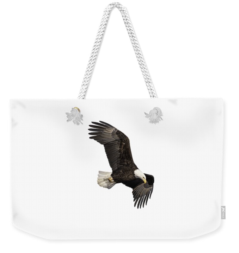 American Bald Eagle Weekender Tote Bag featuring the photograph Isolated Bald Eagle 2019-13 by Thomas Young