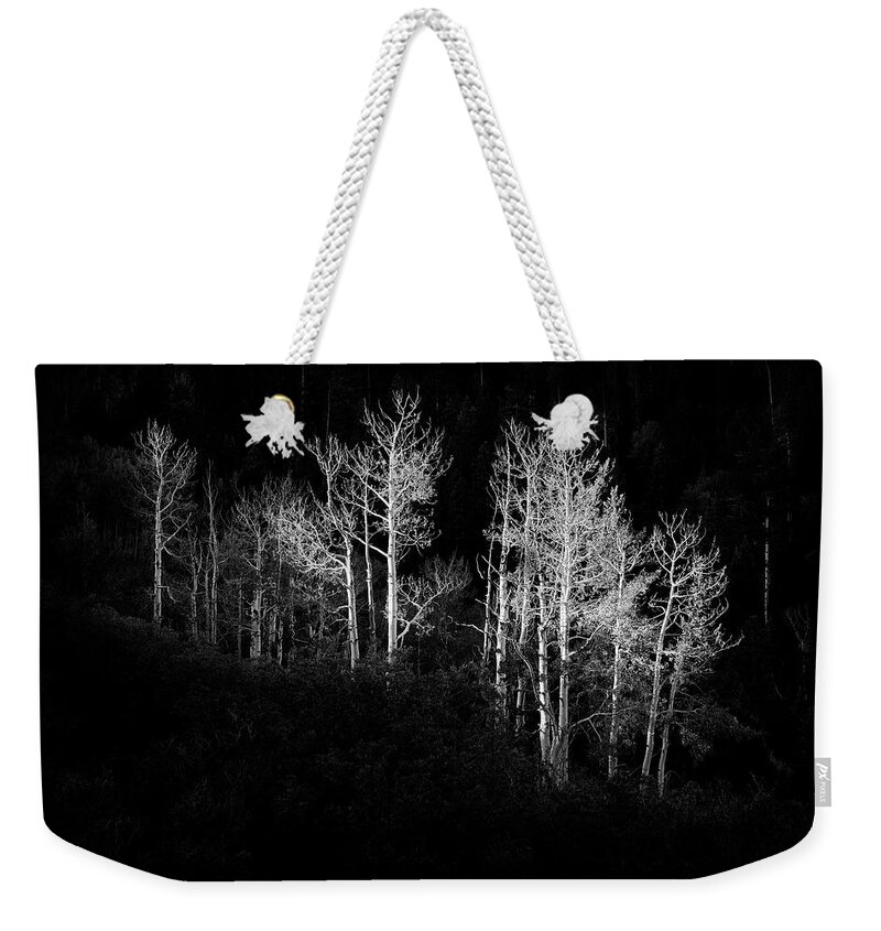 Black And White Weekender Tote Bag featuring the photograph Isolated by Light by Jon Glaser