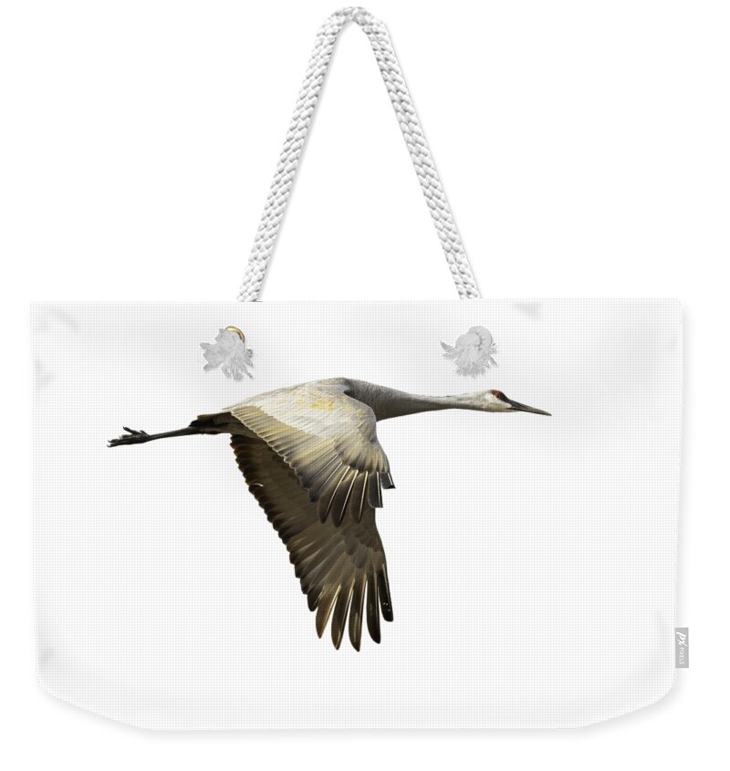 Sandhill Crane Weekender Tote Bag featuring the photograph Isolated Sandhill Crane 1-2021 by Thomas Young