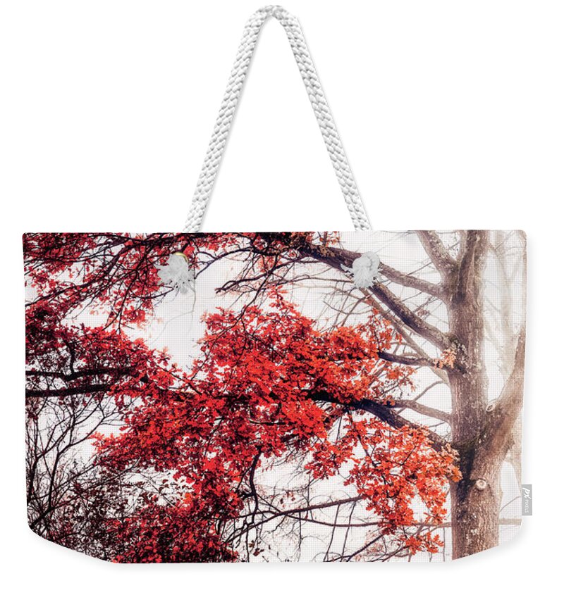 Autumn Weekender Tote Bag featuring the photograph It Was a Red Tree by Philippe Sainte-Laudy