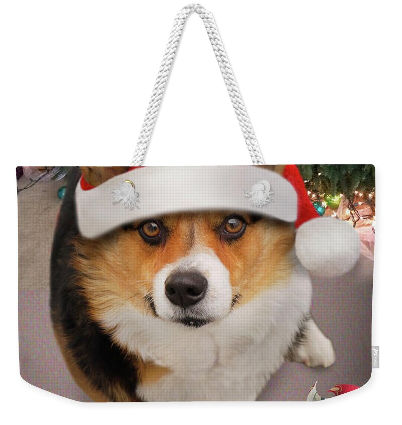 Corgi Weekender Tote Bag featuring the photograph It Wasn't Me by Mike McGlothlen