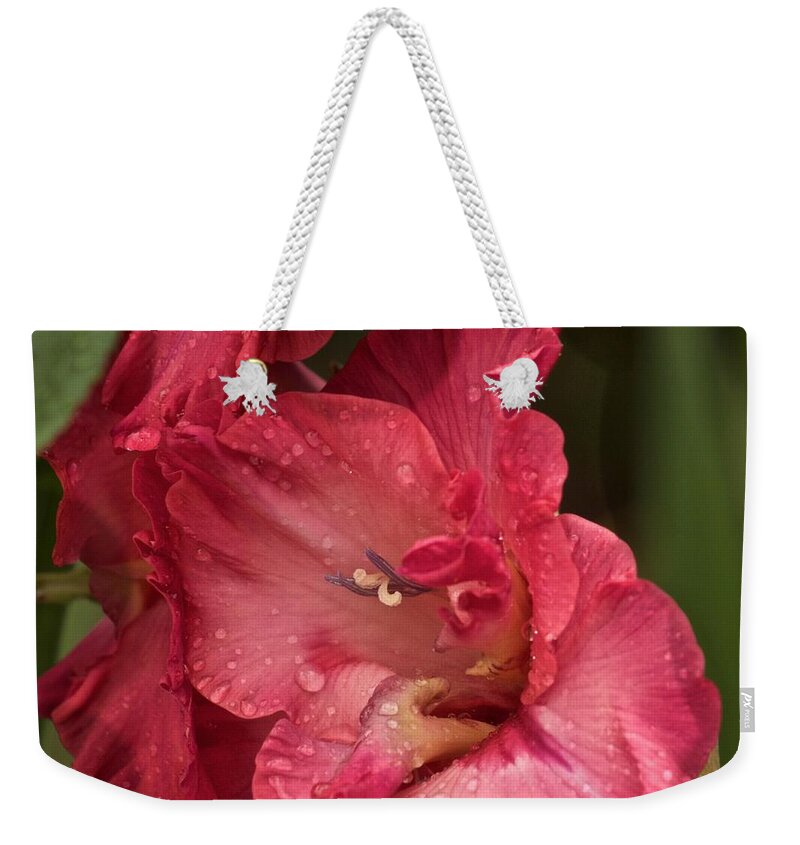 Gladiola Weekender Tote Bag featuring the photograph It's Raining by Richard Cummings