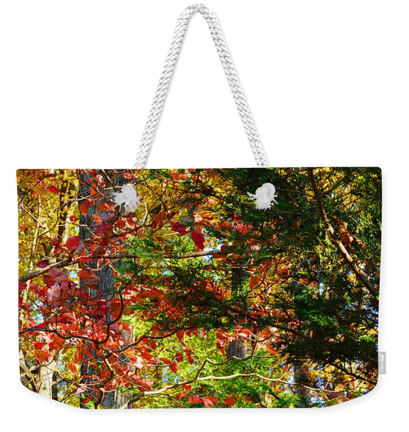 Colorful Weekender Tote Bag featuring the photograph It's So Easy Being Green - A Piedmont Autumn Impression by Steve Ember