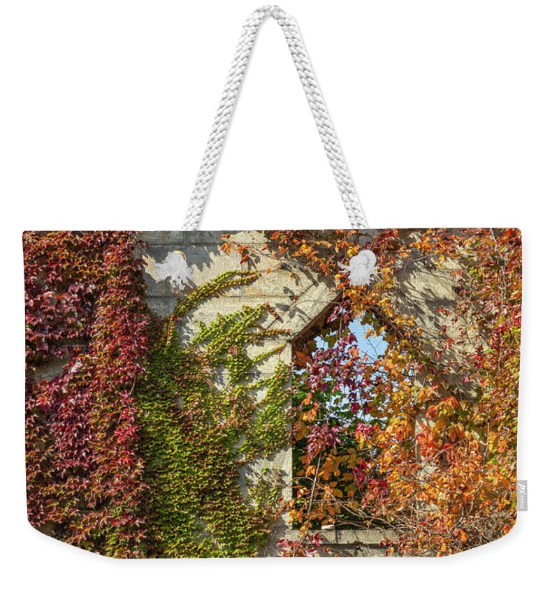 Roosevelt Island Weekender Tote Bag featuring the photograph Ivy and the Renwick Ruin by Cate Franklyn