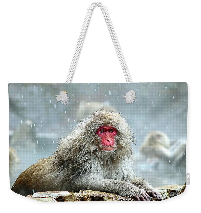  Weekender Tote Bag featuring the photograph Japan 48 by Eric Pengelly