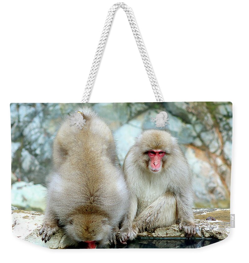  Weekender Tote Bag featuring the photograph Japan 63 by Eric Pengelly