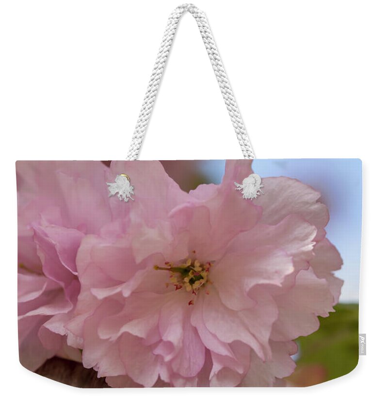 Flower Weekender Tote Bag featuring the photograph Japanese Flowering Cherry 4 by Dawn Cavalieri
