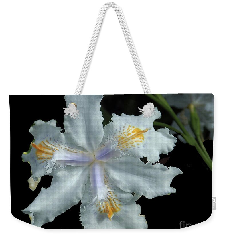Iris Weekender Tote Bag featuring the photograph Japanese Iris 'Butterfly Flower' - Iris japonica by Klaus Jaritz