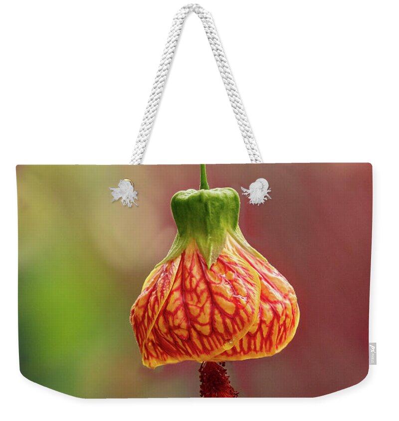 Flower Weekender Tote Bag featuring the photograph Japanese Latern by Mary Jo Allen