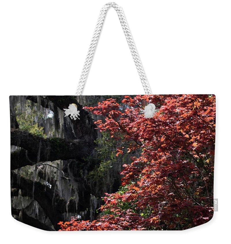 Photograph Weekender Tote Bag featuring the photograph Japanese Red Maple in Watercolor by Suzanne Gaff