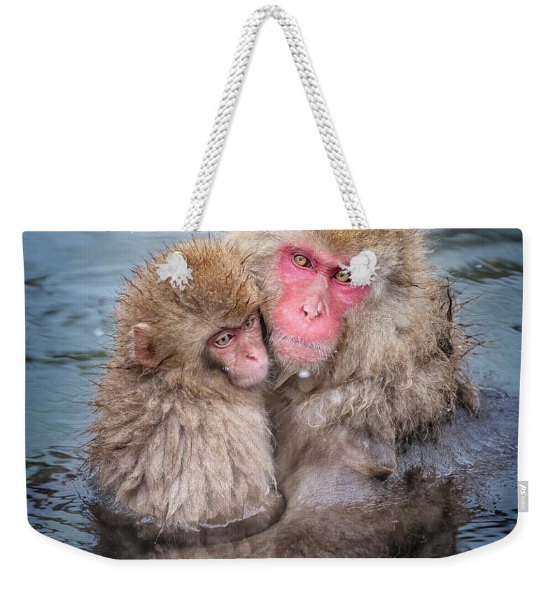 Japan Weekender Tote Bag featuring the photograph Japanese Snow Monkey Mom and Baby II by Joan Carroll
