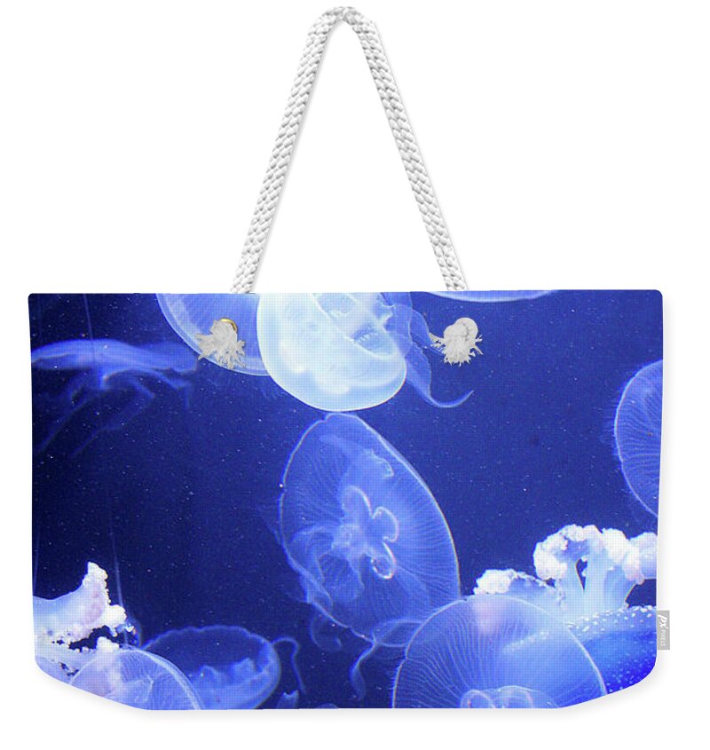 Everett Spruill Weekender Tote Bag featuring the photograph Jelly Fish at Parisian Aquarium by Everett Spruill