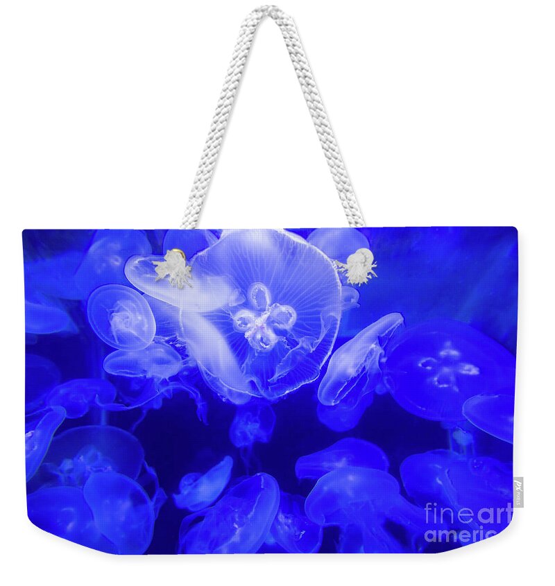Jelly Weekender Tote Bag featuring the photograph Jellyfish in the Water by Beachtown Views