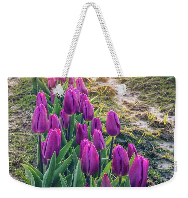 Tulips Weekender Tote Bag featuring the photograph Jewel Tone Tulips by Michael Rauwolf