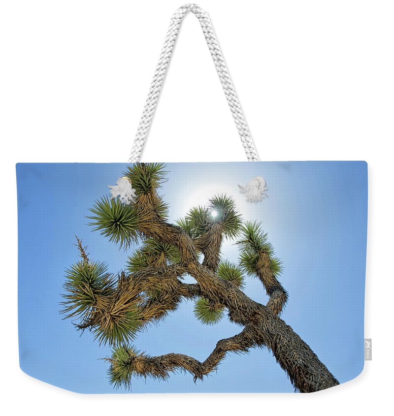 Joshua Tree Weekender Tote Bag featuring the photograph Joshua Tree 1 by Lisa Chorny