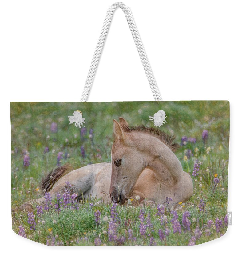 Wild Mustangs Weekender Tote Bag featuring the photograph Joy in the Meadow by Marcy Wielfaert