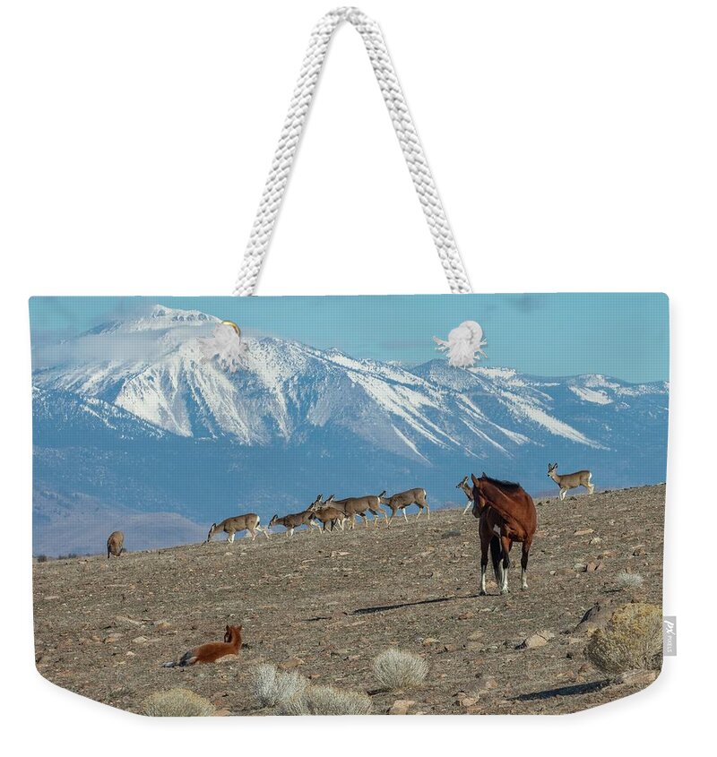  Weekender Tote Bag featuring the photograph Jt__0292 by John T Humphrey