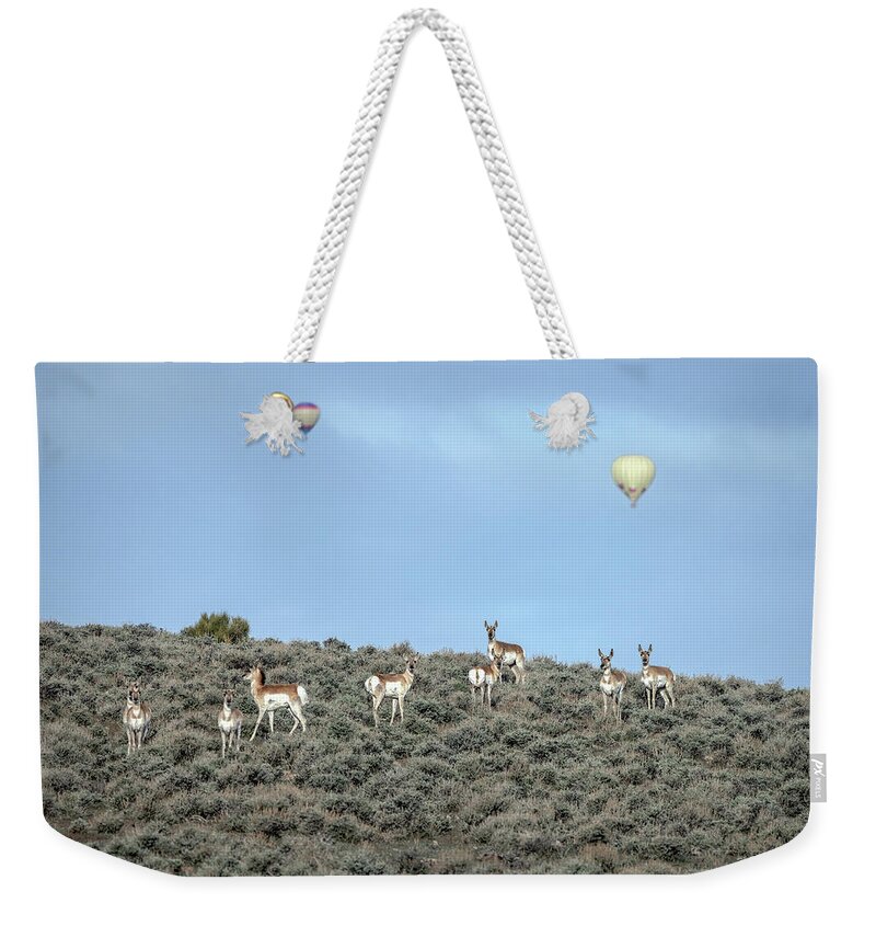 Weekender Tote Bag featuring the photograph Jtr50384 by John T Humphrey