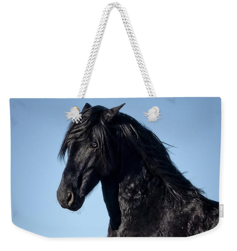  Weekender Tote Bag featuring the photograph Jtr59639 by John T Humphrey