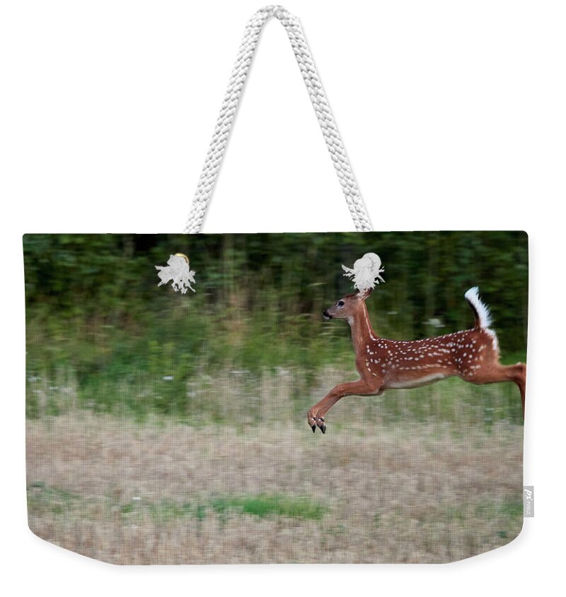 Finland Weekender Tote Bag featuring the photograph Jump and fly. White-tailed deer by Jouko Lehto