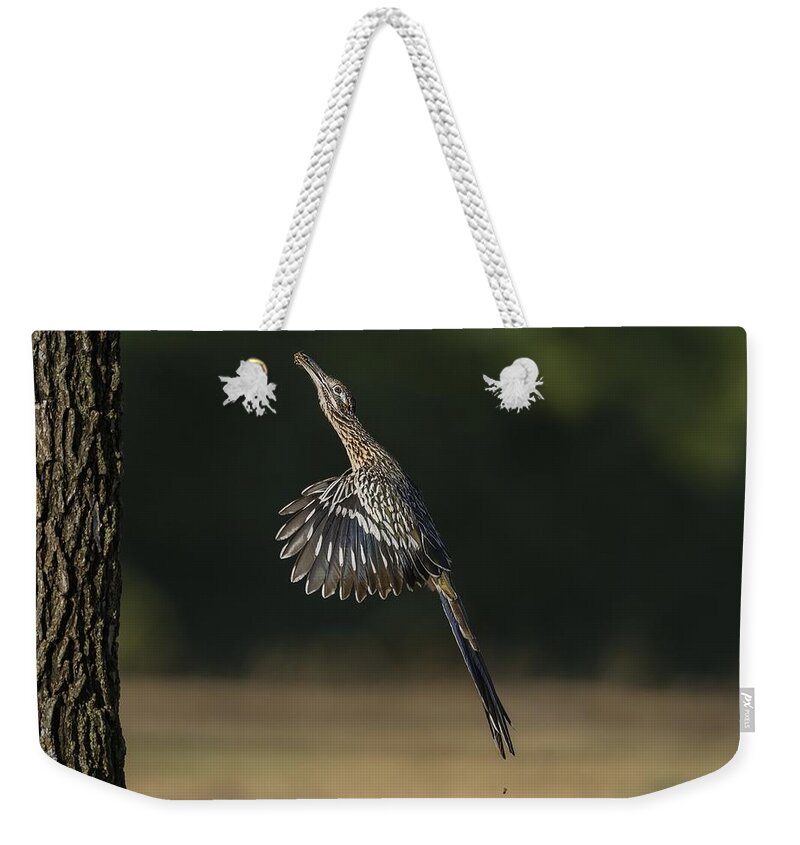 Greater Roadrunner Weekender Tote Bag featuring the photograph Jumping to Feed by Puttaswamy Ravishankar