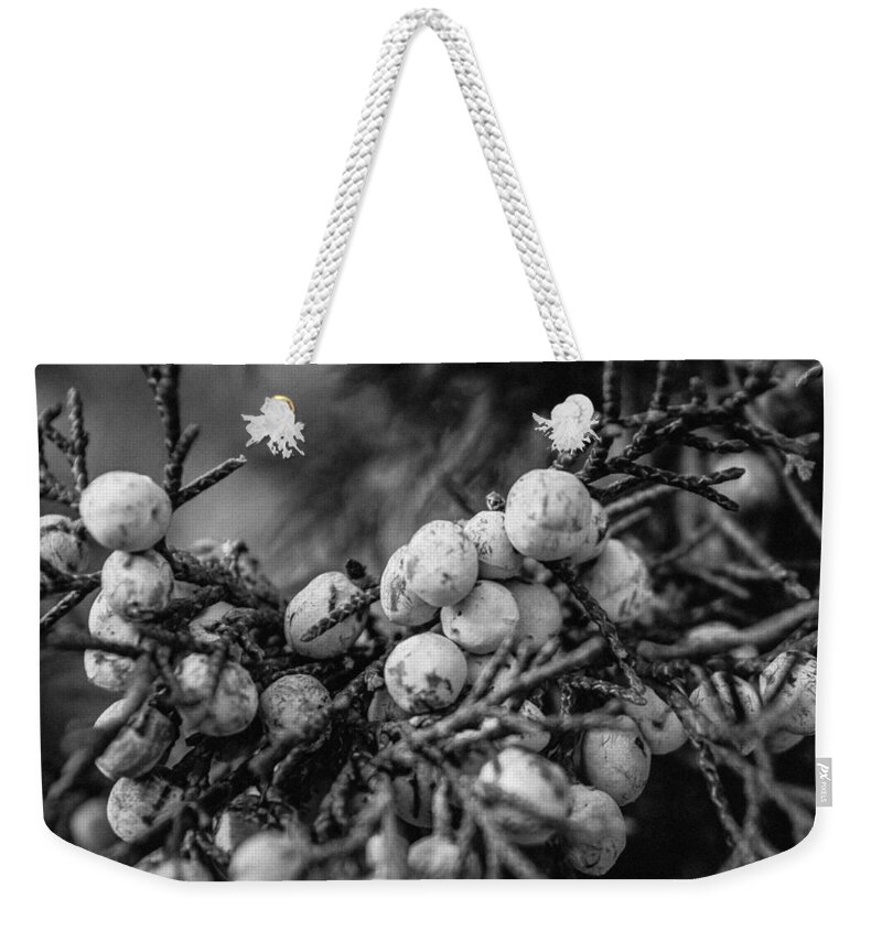 Tree Weekender Tote Bag featuring the photograph Juniper Berries by Bonny Puckett