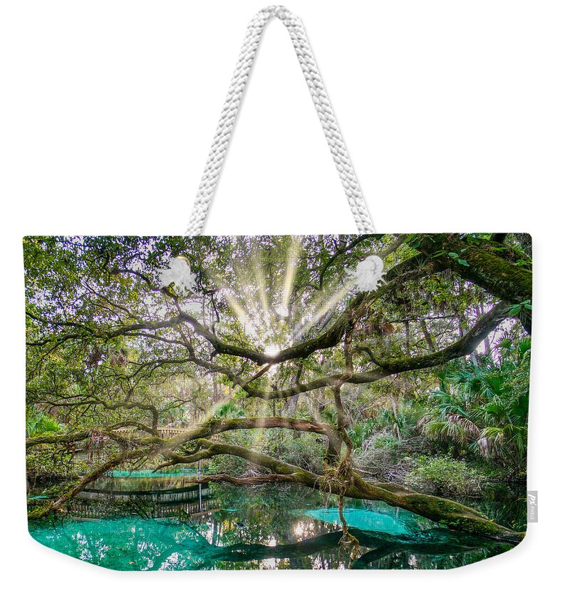 Juniper Springs Ocala National Forest Weekender Tote Bag featuring the photograph Juniper Springs 2019 by Joey Waves