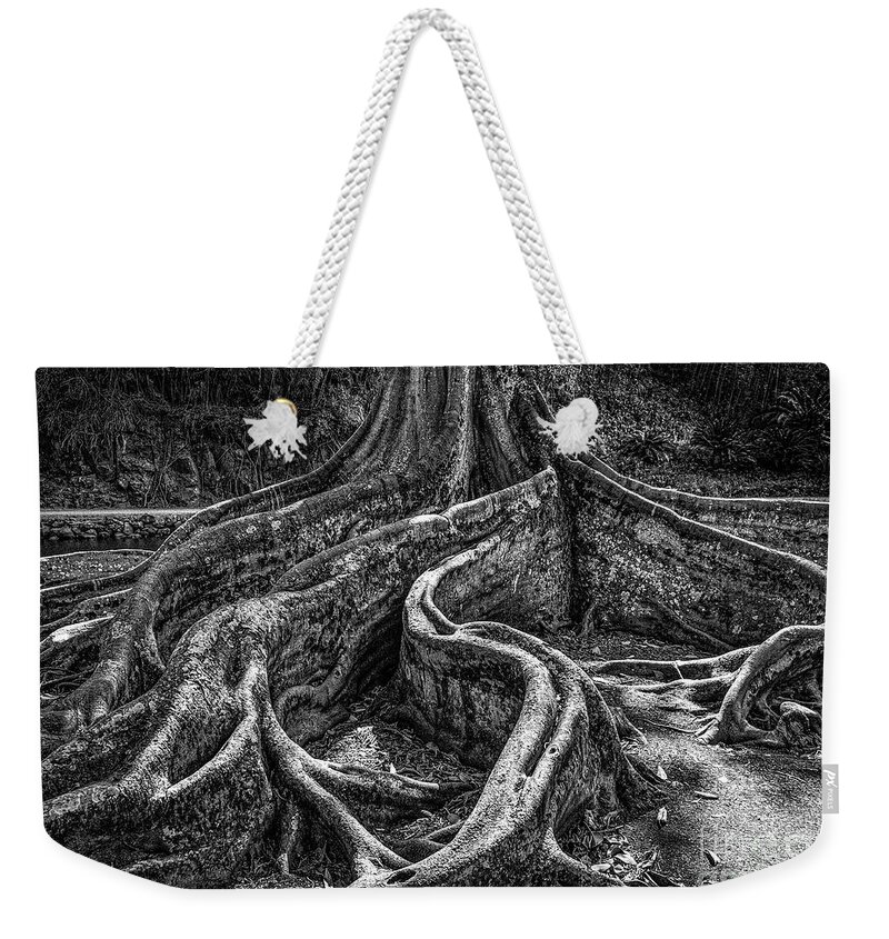 Tree Weekender Tote Bag featuring the photograph Jurassic Tree by John Kain