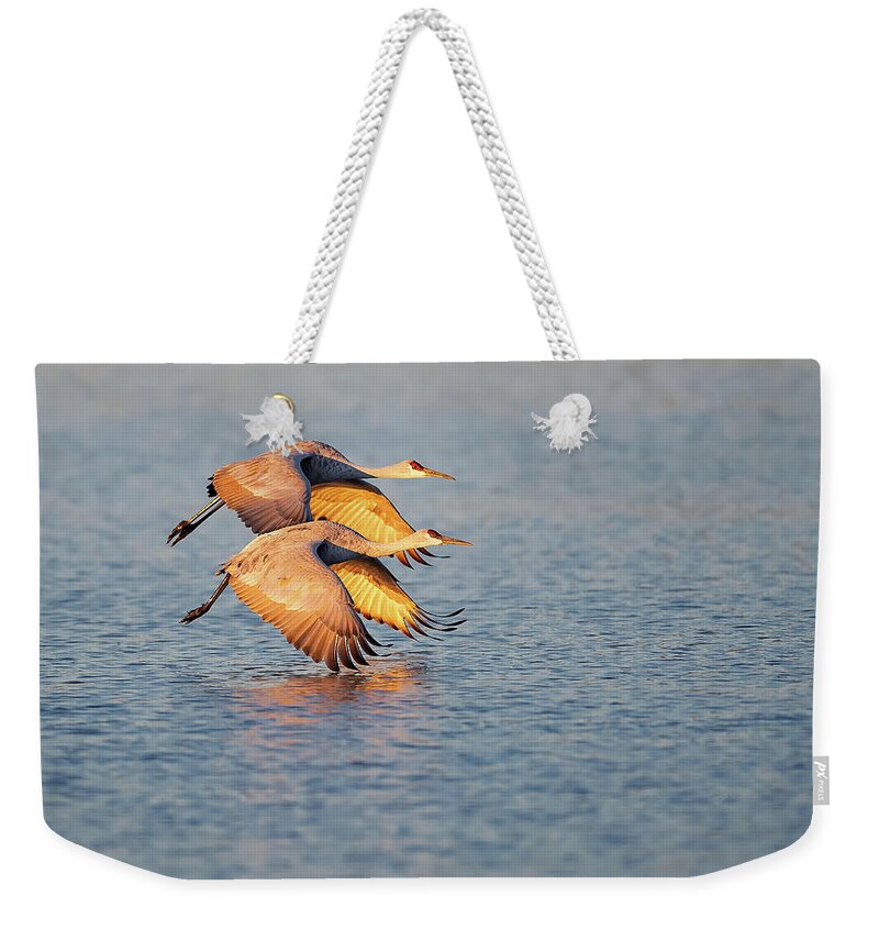 Bird Weekender Tote Bag featuring the photograph Just Above Water by Art Cole