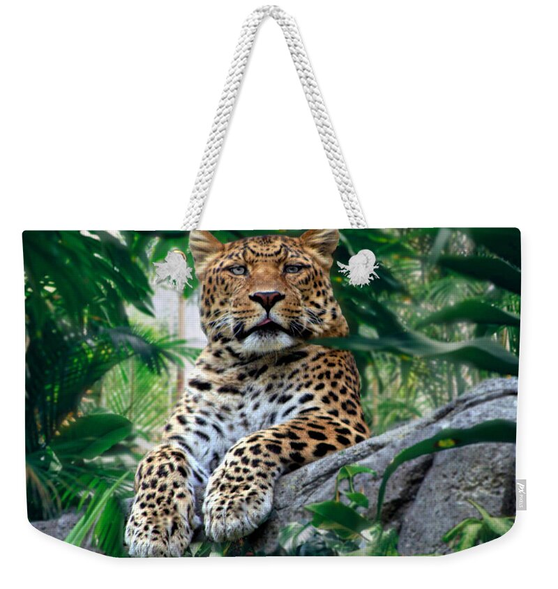 Leopard Weekender Tote Bag featuring the photograph Just Chillin' by DJ Florek