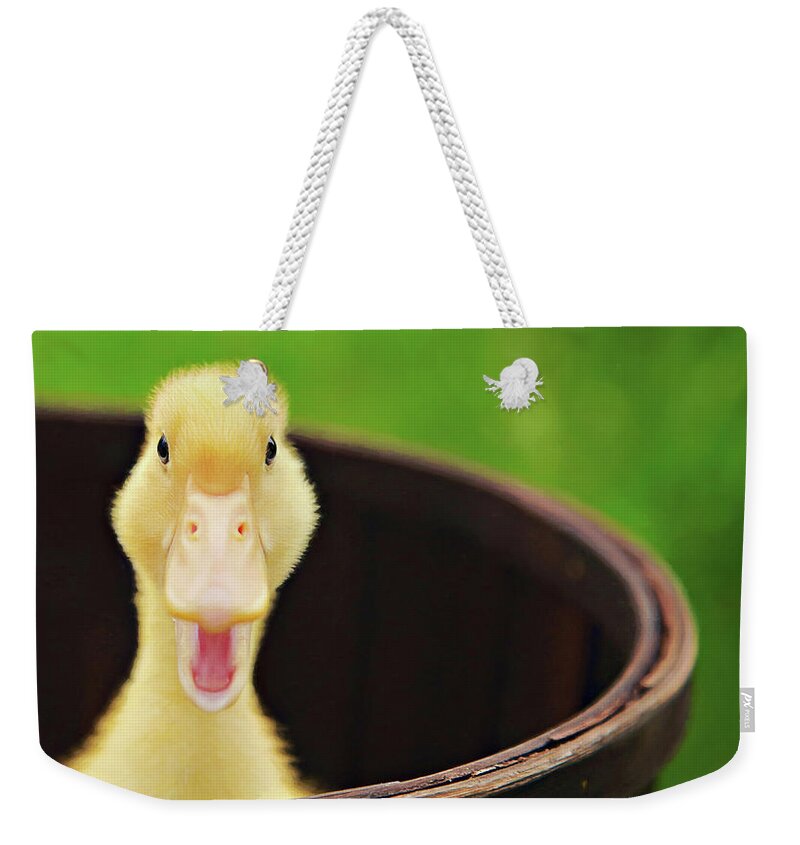 Yellow Weekender Tote Bag featuring the photograph Just Ducky Painterly Version by Carrie Ann Grippo-Pike