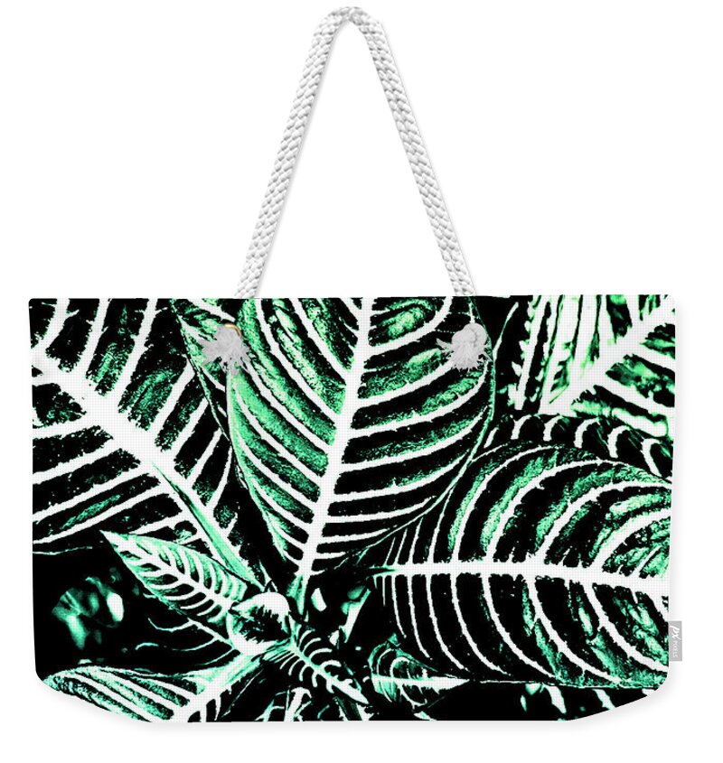 Leaves Weekender Tote Bag featuring the photograph Just Green Leaves by Vanessa Thomas