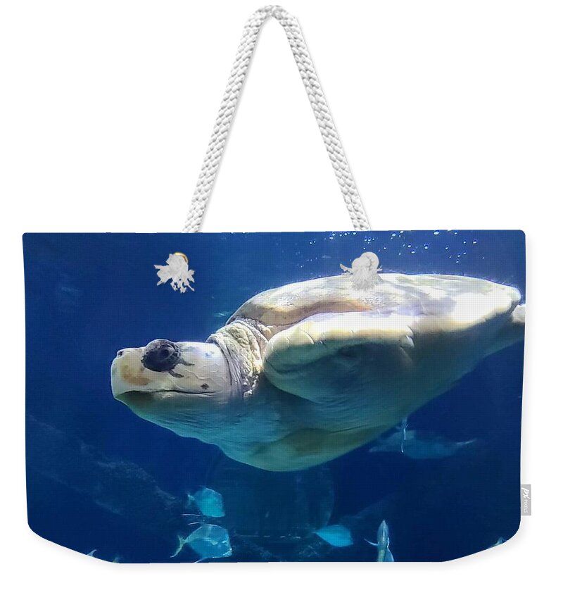 Sea Weekender Tote Bag featuring the pyrography Just keep swimming by Elena Pratt