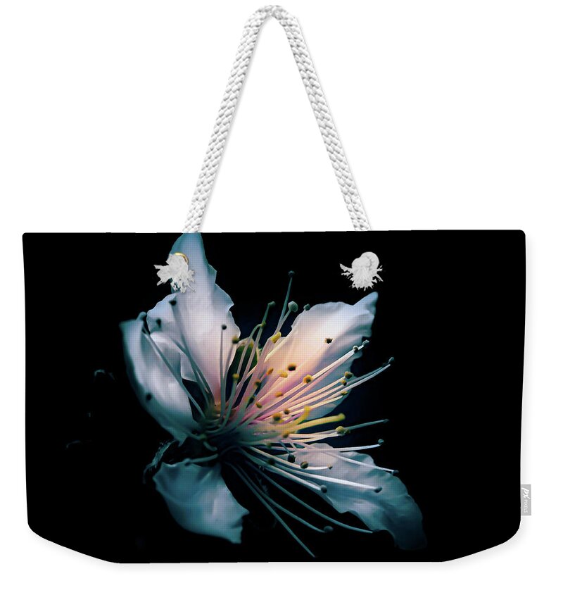  Weekender Tote Bag featuring the photograph Just Peachy by Gena Herro