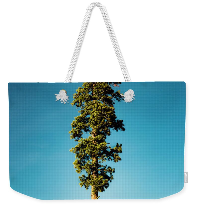 Nature Weekender Tote Bag featuring the photograph Just Trying to Blend In by Mike Lee