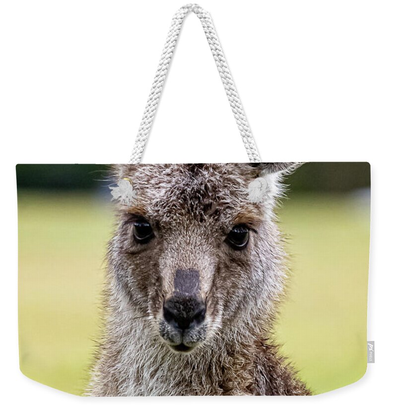 Kangaroo Weekender Tote Bag featuring the photograph Kangaroo Portrait by Rick Nelson