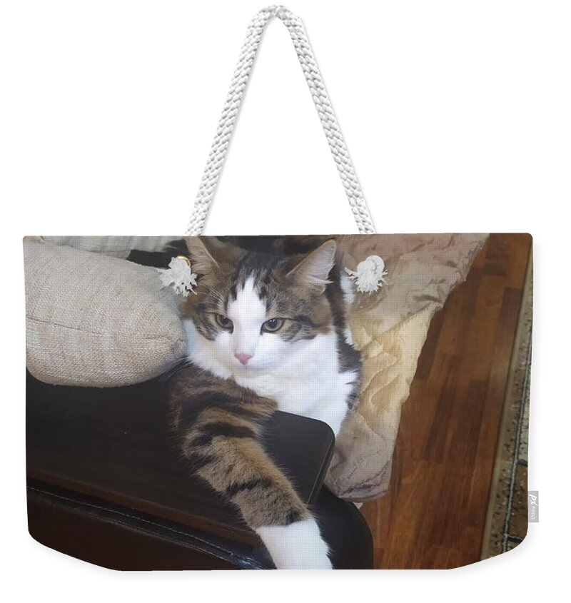 sky cat weekender bag