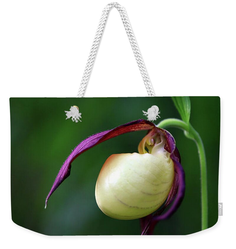  Weekender Tote Bag featuring the photograph Kentucky Lady Slipper by William Rainey
