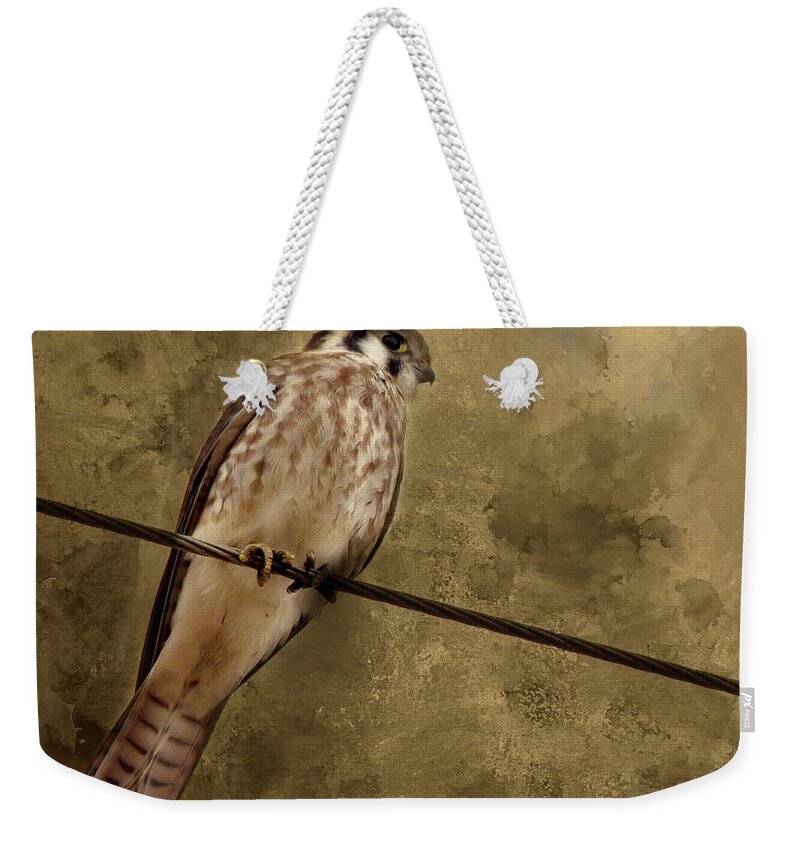 Bird Weekender Tote Bag featuring the photograph Kestrel by Rebecca Cozart