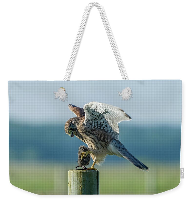 Kestrel's Landing Weekender Tote Bag featuring the photograph Kestrels landing with the prey on the roundpole by Torbjorn Swenelius