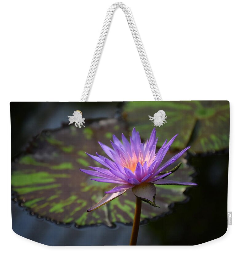 Water Lily Weekender Tote Bag featuring the photograph Kew Water Lily by Terry M Olson
