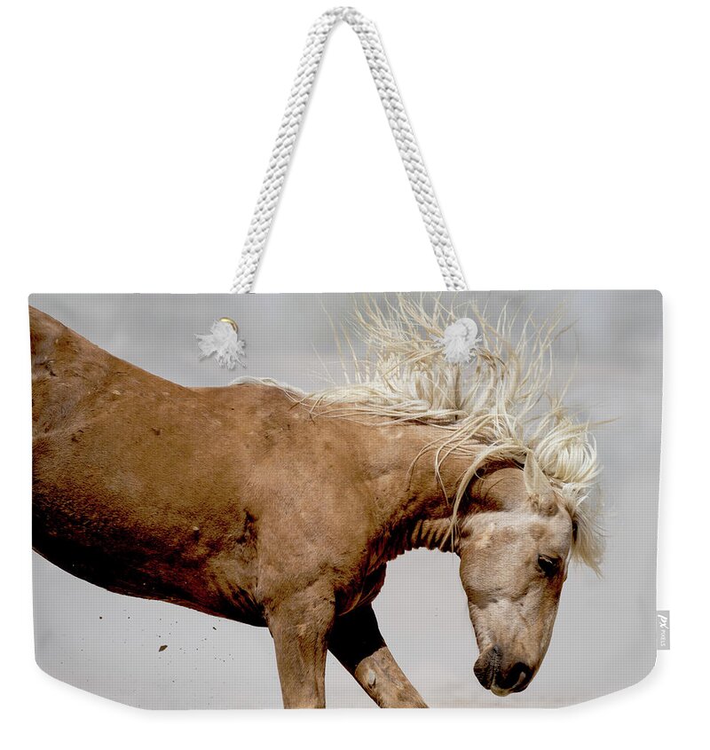 Wild Horse Weekender Tote Bag featuring the photograph Kick by Mary Hone