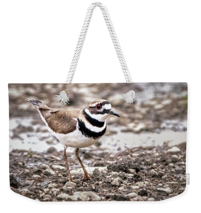 Bird Weekender Tote Bag featuring the photograph Killdeer by Ira Marcus