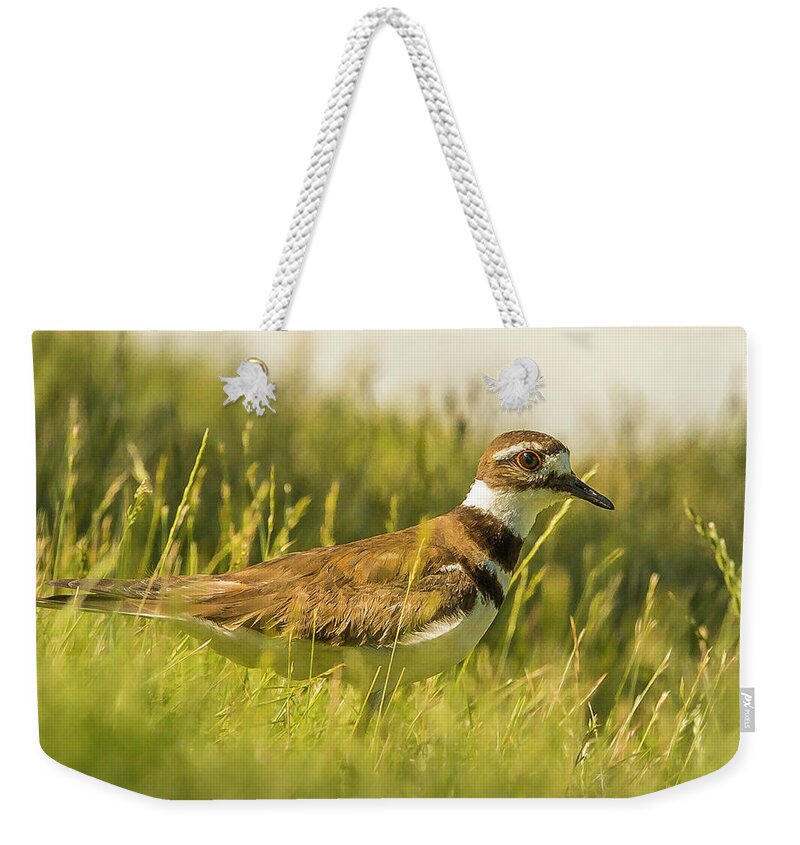 Boise Idaho Weekender Tote Bag featuring the photograph KIlldeer by Mark Mille