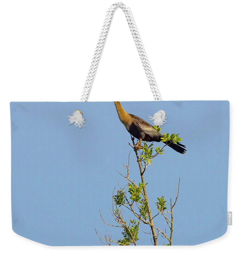 R5-2630 Weekender Tote Bag featuring the photograph King of the Marsh by Gordon Elwell